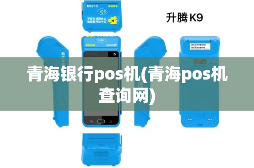 青海银行pos机(青海pos机查询网)
