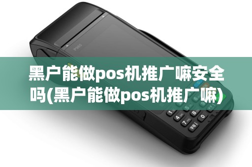 黑户能做pos机推广嘛安全吗(黑户能做pos机推广嘛)