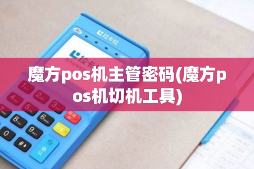 魔方pos机主管密码(魔方pos机切机工具)