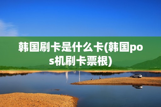 韩国刷卡是什么卡(韩国pos机刷卡票根)