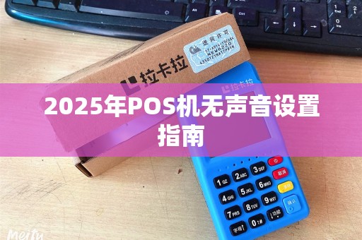2025年POS机无声音设置指南