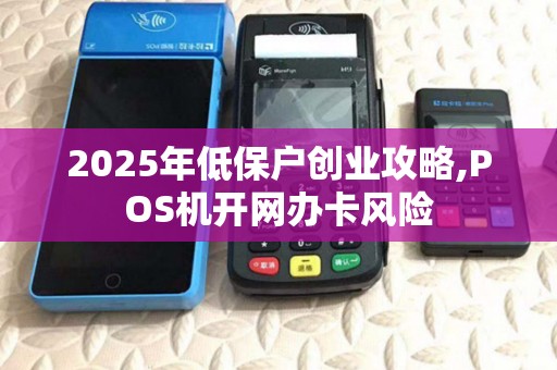 2025年低保户创业攻略,POS机开网办卡风险