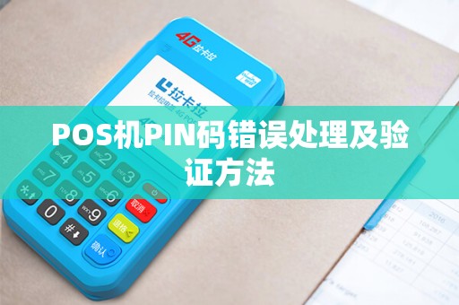 POS机PIN码错误处理及验证方法