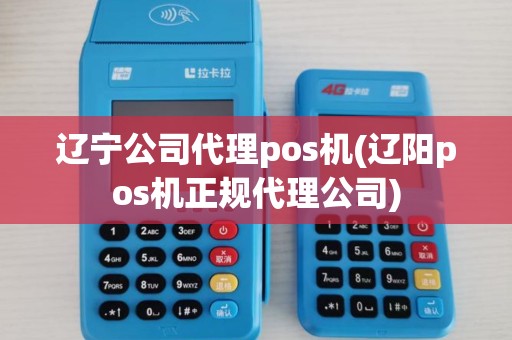 辽宁公司代理pos机(辽阳pos机正规代理公司)