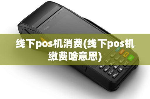 线下pos机消费(线下pos机缴费啥意思)