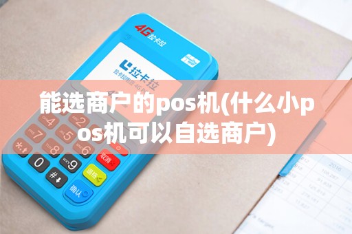 能选商户的pos机(什么小pos机可以自选商户)
