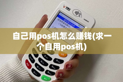 自己用pos机怎么赚钱(求一个自用pos机)