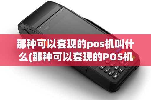 那种可以套现的pos机叫什么(那种可以套现的POS机)
