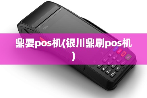 鼎耍pos机(银川鼎刷pos机)