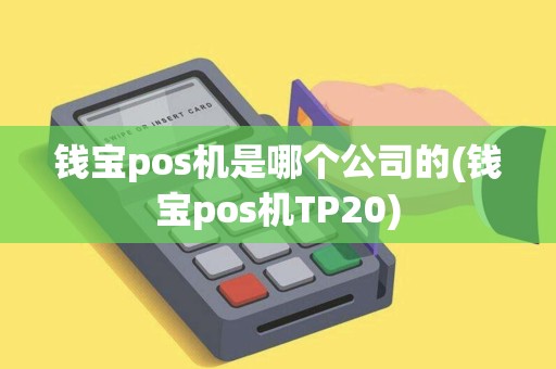 钱宝pos机是哪个公司的(钱宝pos机TP20)