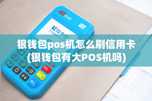 银钱包pos机怎么刷信用卡(银钱包有大POS机吗)