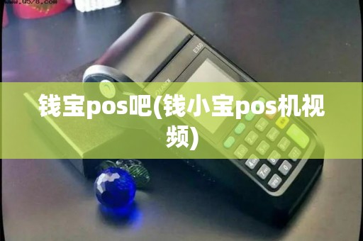钱宝pos吧(钱小宝pos机视频)