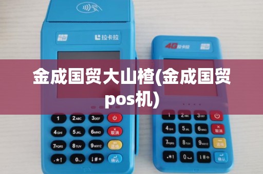 金成国贸大山楂(金成国贸pos机)