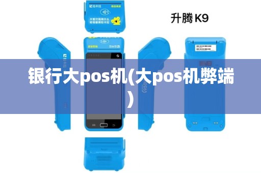 银行大pos机(大pos机弊端)