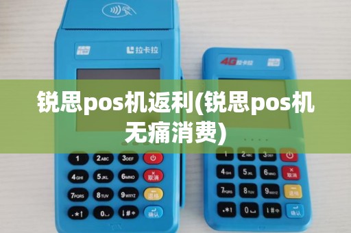 锐思pos机返利(锐思pos机无痛消费)