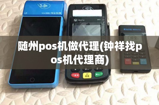 随州pos机做代理(钟祥找pos机代理商)
