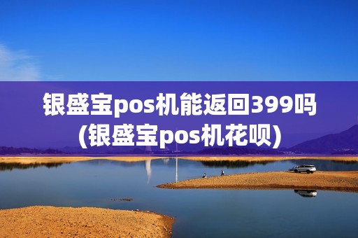 银盛宝pos机能返回399吗(银盛宝pos机花呗)