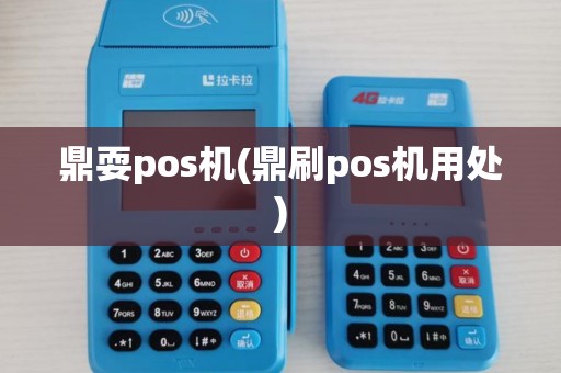 鼎耍pos机(鼎刷pos机用处)