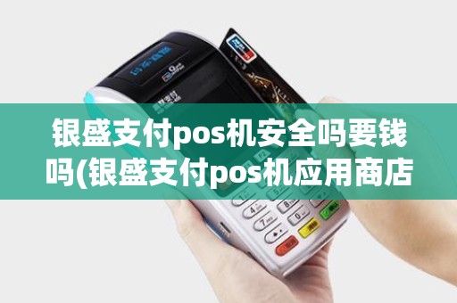 银盛支付pos机安全吗要钱吗(银盛支付pos机应用商店)