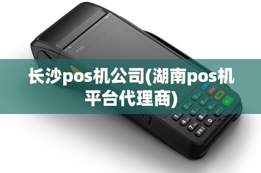长沙pos机公司(湖南pos机平台代理商)