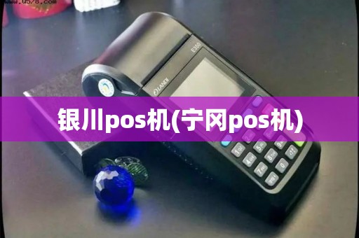 银川pos机(宁冈pos机)