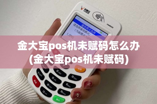金大宝pos机未赋码怎么办(金大宝pos机未赋码)