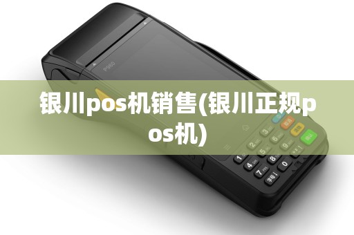 银川pos机销售(银川正规pos机)