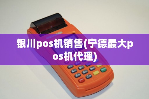 银川pos机销售(宁德最大pos机代理)