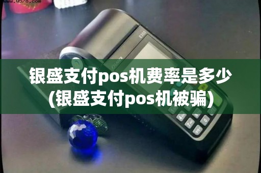 银盛支付pos机费率是多少(银盛支付pos机被骗)