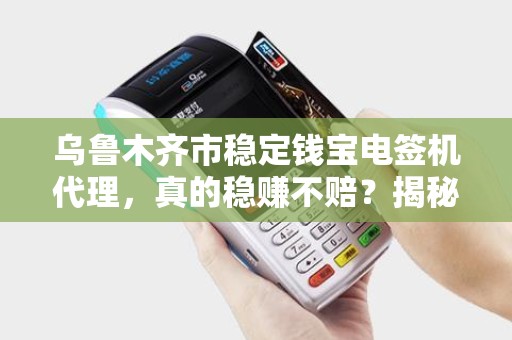 乌鲁木齐市稳定钱宝电签机代理，真的稳赚不赔？揭秘背后的风险与机遇！