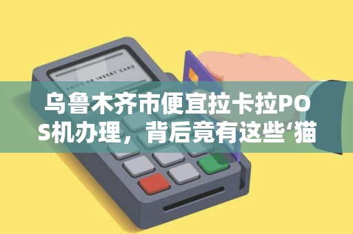 乌鲁木齐市便宜拉卡拉POS机办理，背后竟有这些‘猫腻’小心踩坑！