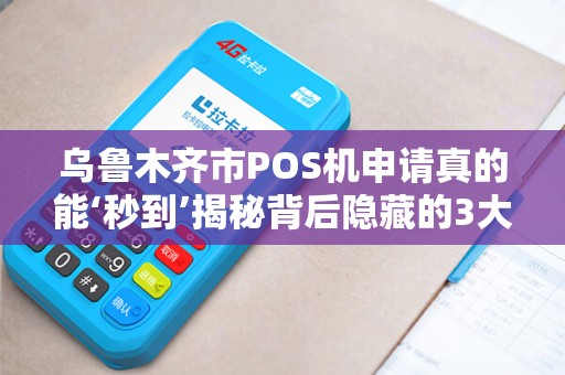 乌鲁木齐市POS机申请真的能‘秒到’揭秘背后隐藏的3大风险！