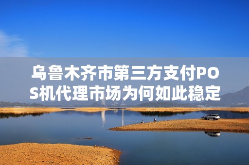 乌鲁木齐市第三方支付POS机代理市场为何如此稳定？揭秘背后的关键因素！