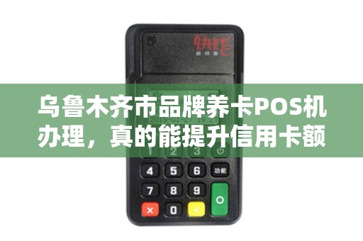 乌鲁木齐市品牌养卡POS机办理，真的能提升信用卡额度吗？揭秘背后的真相！