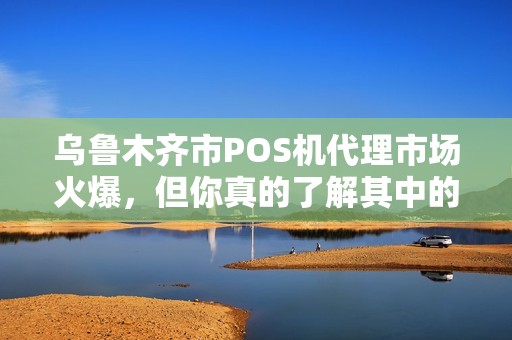 乌鲁木齐市POS机代理市场火爆，但你真的了解其中的风险与机遇吗？