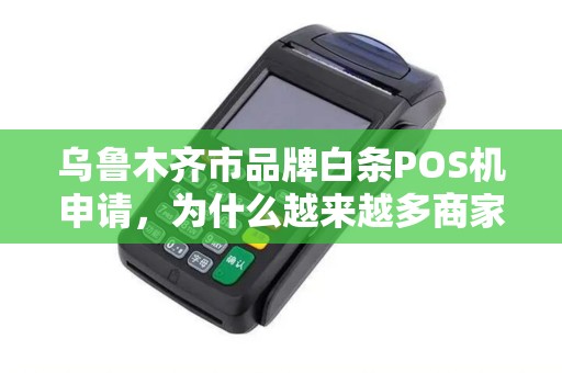 乌鲁木齐市品牌白条POS机申请，为什么越来越多商家选择它？背后隐藏的3大秘密！