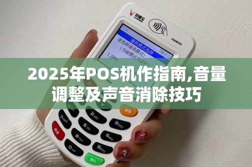 2025年POS机作指南,音量调整及声音消除技巧