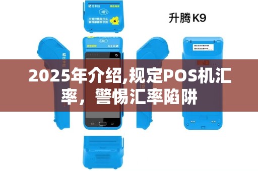 2025年介绍,规定POS机汇率，警惕汇率陷阱