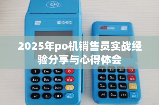 2025年po机销售员实战经验分享与心得体会