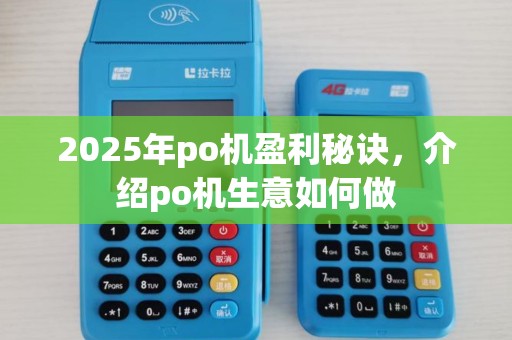 2025年po机盈利秘诀，介绍po机生意如何做