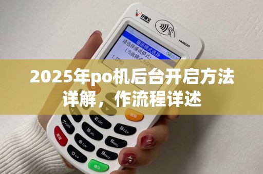 2025年po机后台开启方法详解，作流程详述