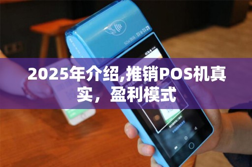 2025年介绍,推销POS机真实，盈利模式