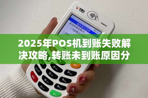 2025年POS机到账失败解决攻略,转账未到账原因分析