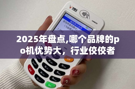 2025年盘点,哪个品牌的po机优势大，行业佼佼者
