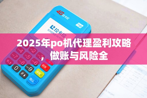 2025年po机代理盈利攻略，做账与风险全