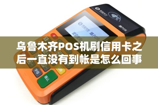 乌鲁木齐POS机刷信用卡之后一直没有到帐是怎么回事？