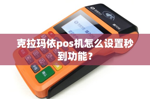克拉玛依pos机怎么设置秒到功能？