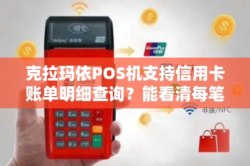 克拉玛依POS机支持信用卡账单明细查询？能看清每笔？