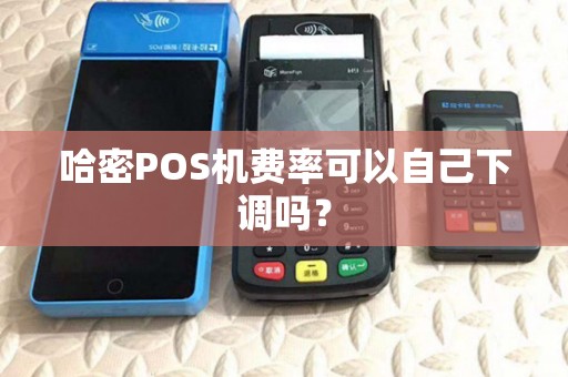 哈密POS机费率可以自己下调吗？