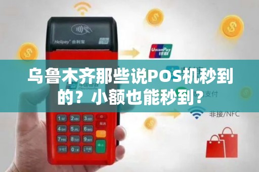 乌鲁木齐那些说POS机秒到的？小额也能秒到？